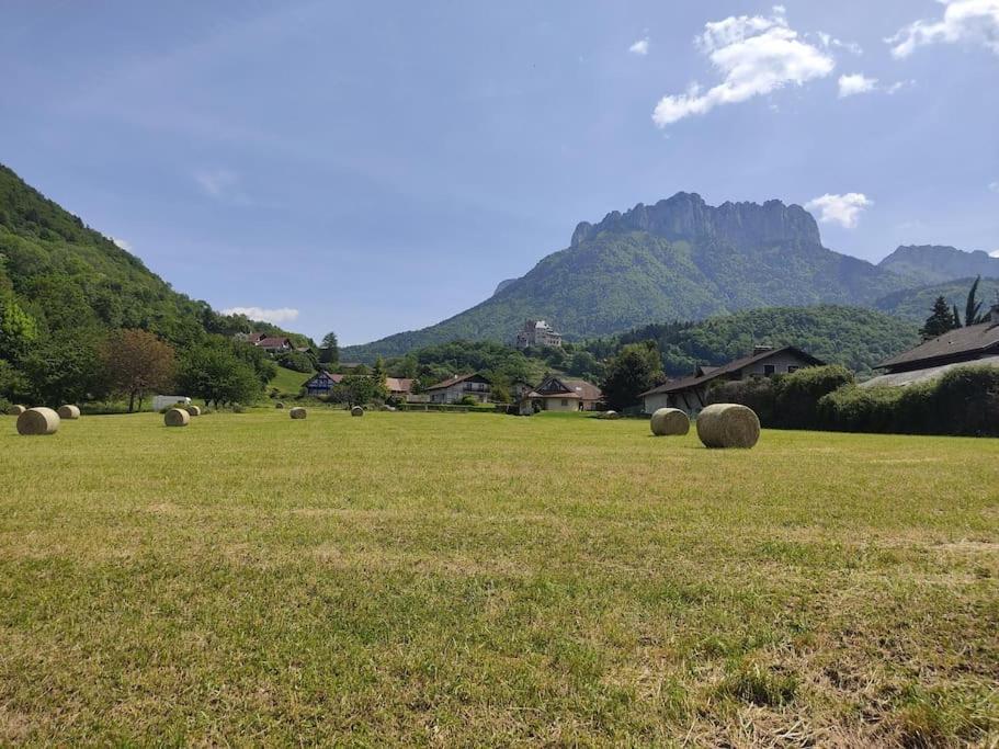 Bel Appartement Au Calme A 5 Minutes Du Village Menthon-Saint-Bernard Exteriér fotografie